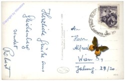 Bad Gleichenberg, Multiansicht