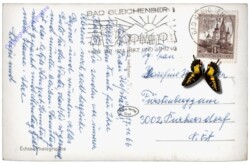 Bad Gleichenberg, Kurparkmotiv