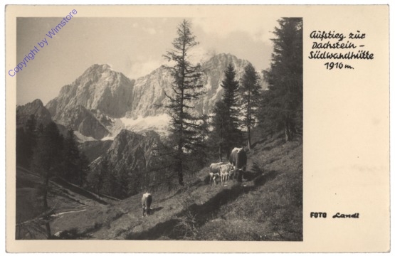 ak112199 Ramsau, Aufstieg zur Dachstein-Südwandhütte