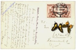 Deutschlandsberg, Schloss