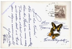 ak112261a Filzmoos, Gasthof H.u.S. Orthofer