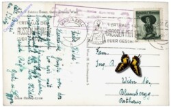 Gemeindealpe, Terzerhaus