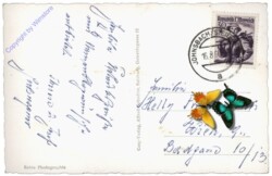 Gesäuse,  Johnsbach mit großem Buchstein