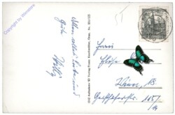 Irdning, mit Grimming