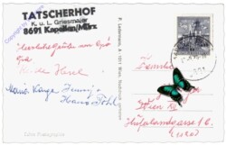 Kapellen an der Mürz, Alpengasthof "Tatscherhof" gegen Schneealpe