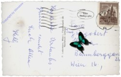 Haus im Ennstal, Krummholzhütte auf dem Hauser Kaibling gegen Dachstein