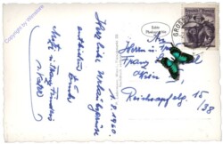 Landl, Tiflimauer, Kleiner Buchstein