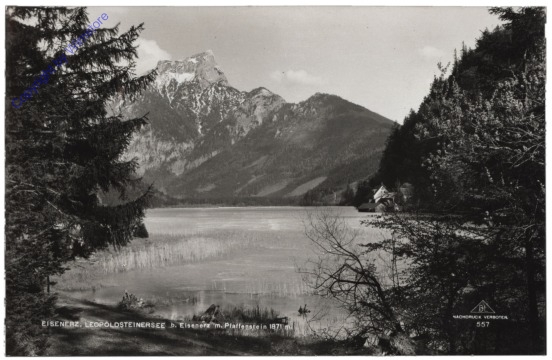 Eisenerz, Leopoldsteinersee mit Pfaffenstein
