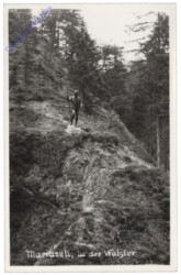 Mariazell, In der Walster