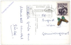 Mariazell, gegen Hochschwab