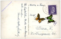 Mariazell, gegen Hochschwab