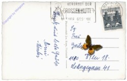 Mariazell, mit dem Ötscher