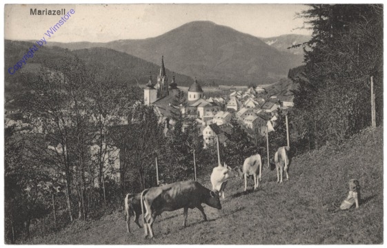 ak112708 Mariazell, Ortsansicht