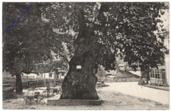 Mariazell, Rasing "zur Linde"