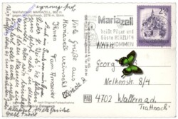 Mariazell, gegen Hochschwab