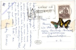 Mariazell, gegen Zellerhüte