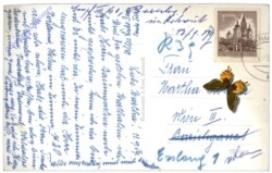 Mariazell, gegen Hochschwab