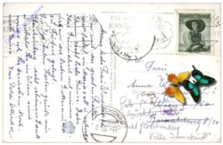 Mariazell, Blick von der Bürgeralpe