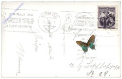 Mariazell, mit dem Hochschwab