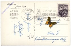 ak112831a Mariazell, Vers