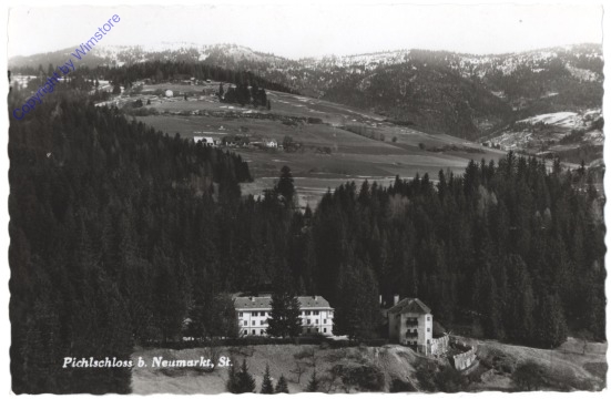 Neumarkt, Pichlschloss