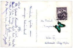 Pichl an der Enns, Ortsansicht