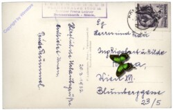 Donnersbach, Schigebiet Planneralpe, Plannerkreuz