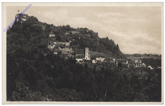 ak113010 Riegersburg, Schloss
