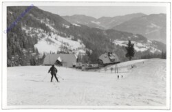 ak113077 Stolzalpe, Alpenpension Neumann