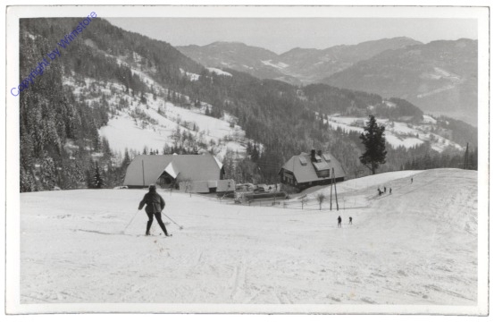 ak113077 Stolzalpe, Alpenpension Neumann