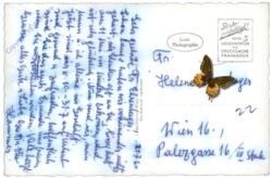 St. Jakob im Walde, Ortsansicht