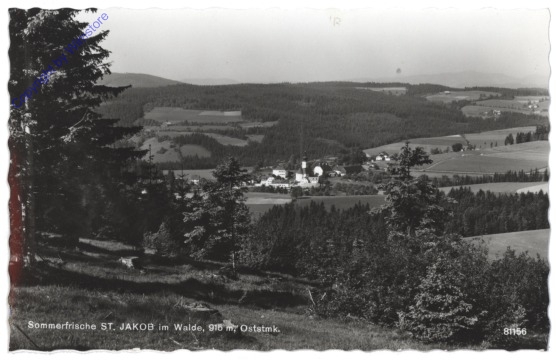 ak113091 St. Jakob im Walde, Ortsansicht