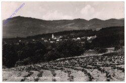 St. Johann in der Haide, Ortsansicht