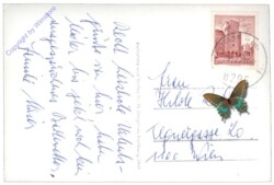 St. Johann in der Haide, Multiansicht