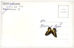 Tauchen, Berghotel Ocherbauer