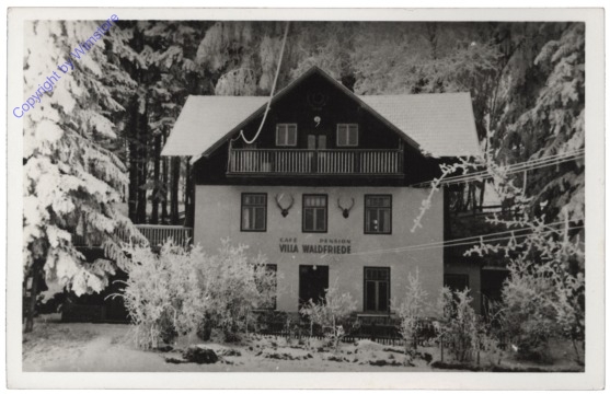 Tauchen, Pension Villa Waldfriede