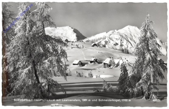 Tauplitzalm, Skigebiet, mit Lawinenstein und Schneiderkogel