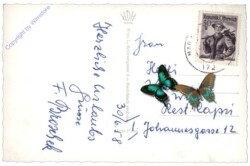 Walster, Kaiser Franz Josef-Denkmal