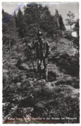 Walster, Kaiser Franz Josef-Denkmal