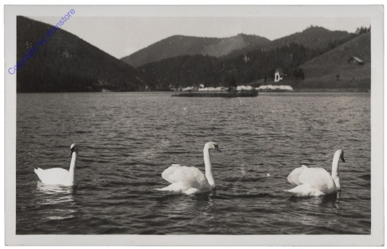 Walster, Hubertus-See