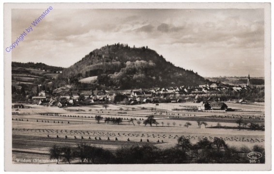 Wildon, Ortsansicht