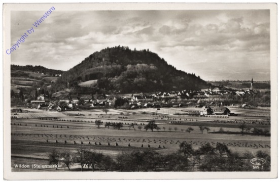Wildon, Ortsansicht