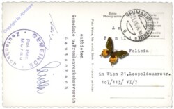Zeutschach, Weihnachtsgrüsse