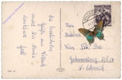 Launsdorf, Burg Hochosterwitz, Löwentor
