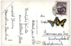 Dellach im Drautal, Ortsansicht