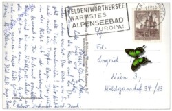 Bad Eisenkappel, mit Steineralpen