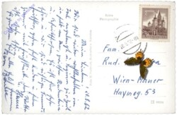 Feld am See, Alpenseebad