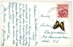 Feldkirchen, Maltschacher-See mit Karawanken