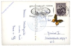 Großglockner, Ansicht