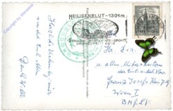 Großglockner, Kaiser Franz Josefs Haus, Johannisberg, Pasterzengletscher